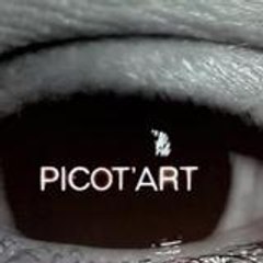 Picot'art art