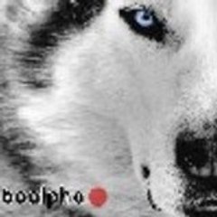 loboalphablogger