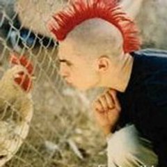 punk du04