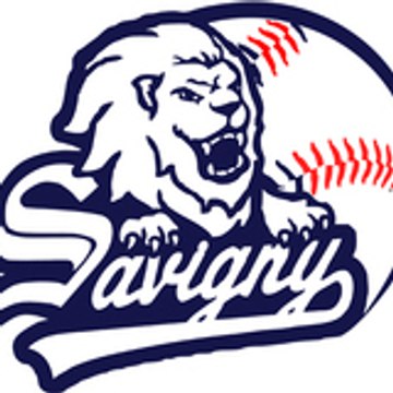 TheSavignyLions
