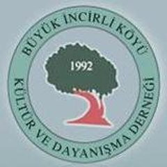 Bikder
