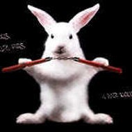 PHENYXERPRODUCTION PHENYXERPRODUCTION