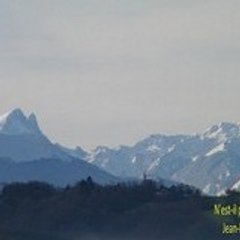 D_MICHOU64