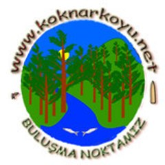 koknarkoyu