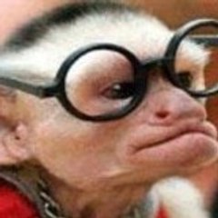 SmokeyJoe4711