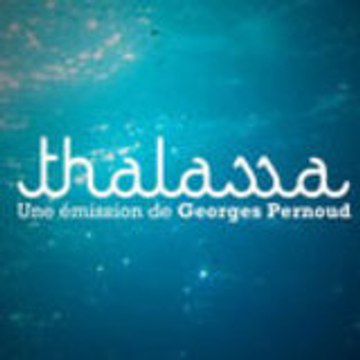 Thalassa Video