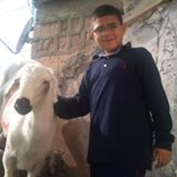segamen2