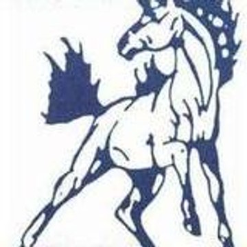 horse-racing-horse