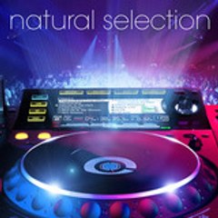 dj mahmud