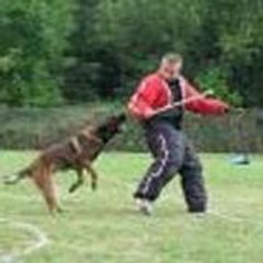 Mickael D Almeida Torres