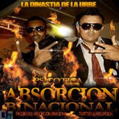 Absorcion Binacional