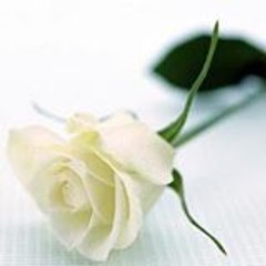 khalilabbasi