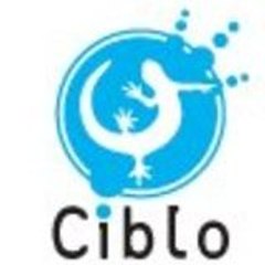 Agence Ciblo