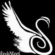 Rocknfool