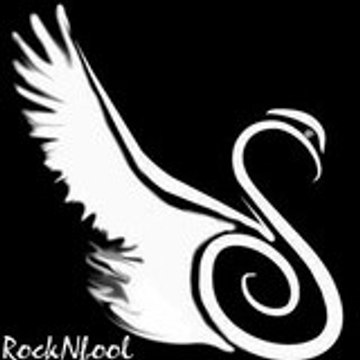 Rocknfool
