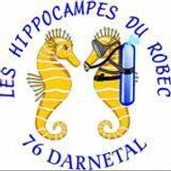 hippocampesdurobec