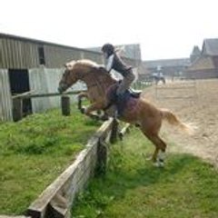carole-anne daussy