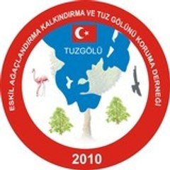 ahmetsanlav