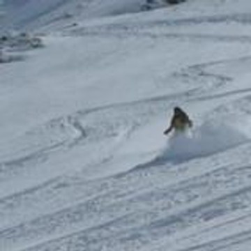 Philippe boccon-gibod