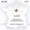 CCS-91100