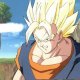 S_Vegetto