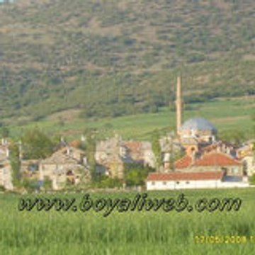 BOYALIWEB