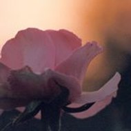 christian auckenthaler