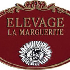 ELEVAGE DE LA MARGUERITE