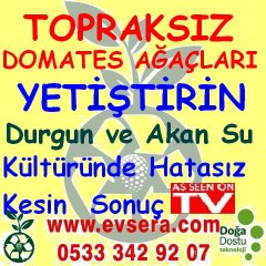 Tekno Sera Öz