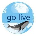 Whale_Traveled