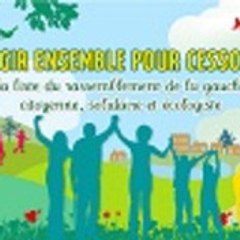 cesson_2010
