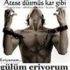 Süleyman Sur