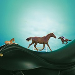 SANDERS_Nutrition_Equine