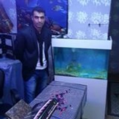 hozan6565
