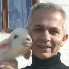 Mehmet Barış