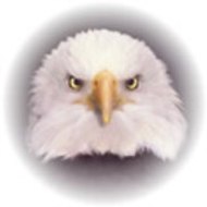 transportation security