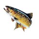 Lou Pescadou Nissart