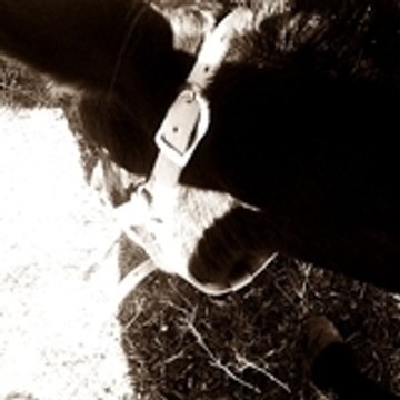 Gandouuinne