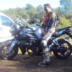 leventonline