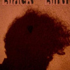 BlackBirdFactory