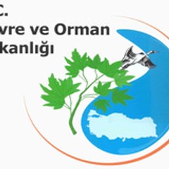 cevreorman