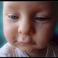 Eflani Bilgi Haber Portalı