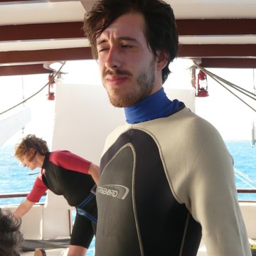 allan merlier