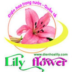 dienhoalily