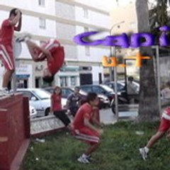 Cani U-T