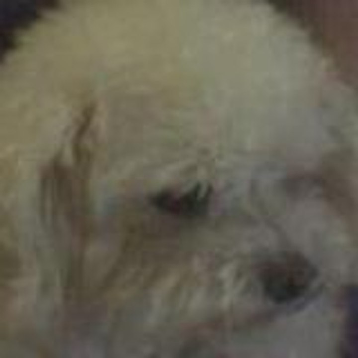 Dailymotion profile picture for @Tereza