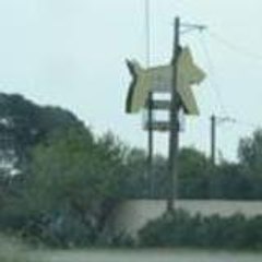 Elevage Canin des Amandiers