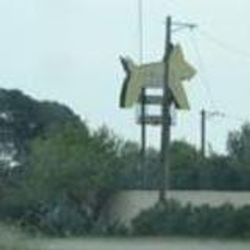 Elevage Canin des Amandiers