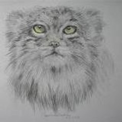 ArtManul