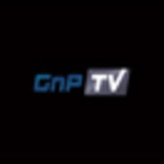 GroundandPoundTV